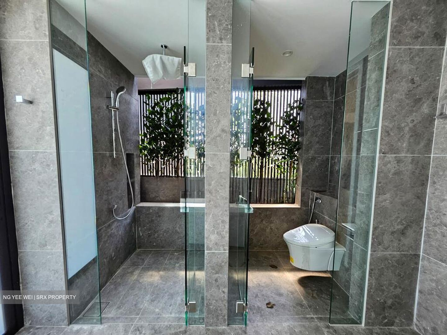 Hong Kong Park (D21), Detached #545950371